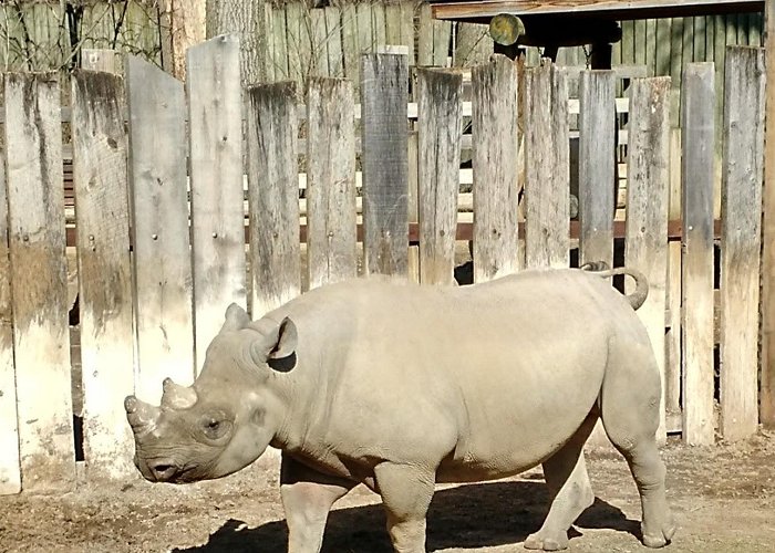 Cleveland Metroparks Zoo photo