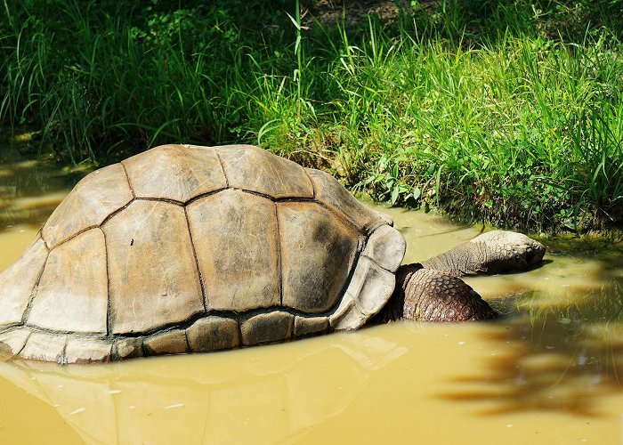 Cleveland Metroparks Zoo photo