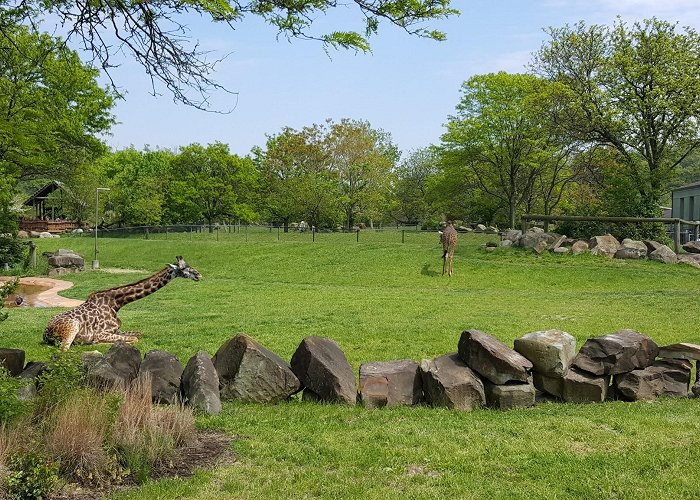 Cleveland Metroparks Zoo photo