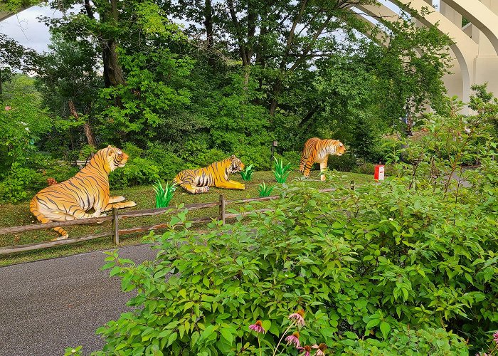 Cleveland Metroparks Zoo photo