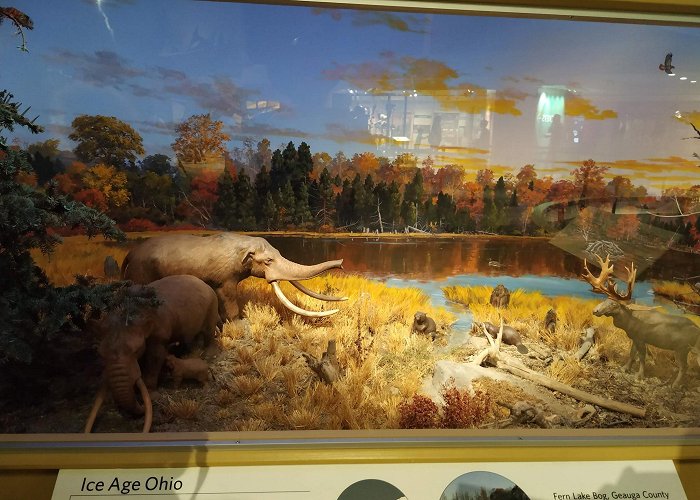 Cleveland Museum of Natural History photo