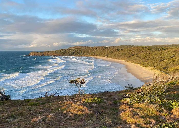 Noosa National Park 7 Beautiful Walks in Noosa National Park (For All Abilities) photo
