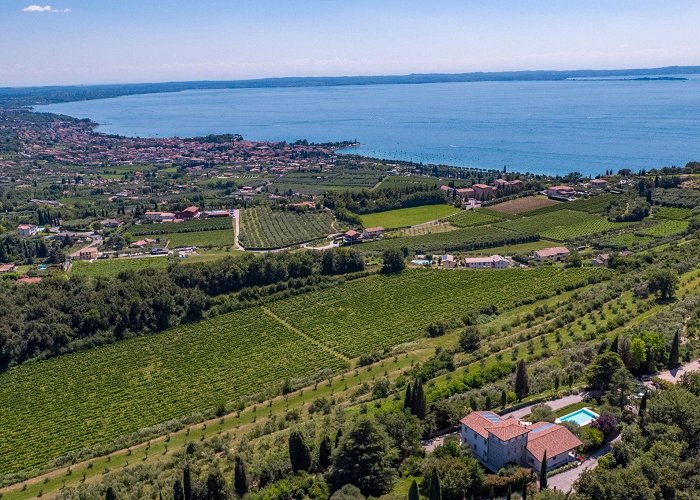 Museo del Vino Cantina F.lli Zeni // Weinmuseum und -Gut der Familie Zeni Relais Colle San Giorgio - Bardolino sul Lago di Garda (Italia) photo