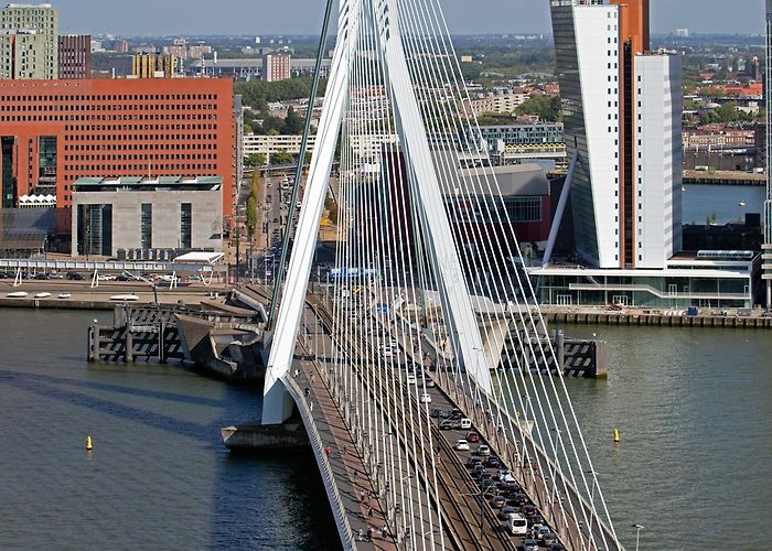 Erasmus Bridge Erasmus Bridge in Rotterdam Netherlands photo