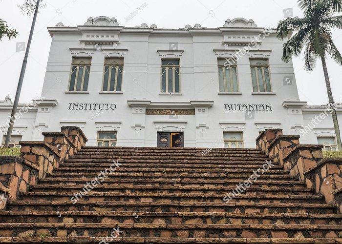 Butantan Institute 123 Butantan Institute Royalty-Free Images, Stock Photos ... photo