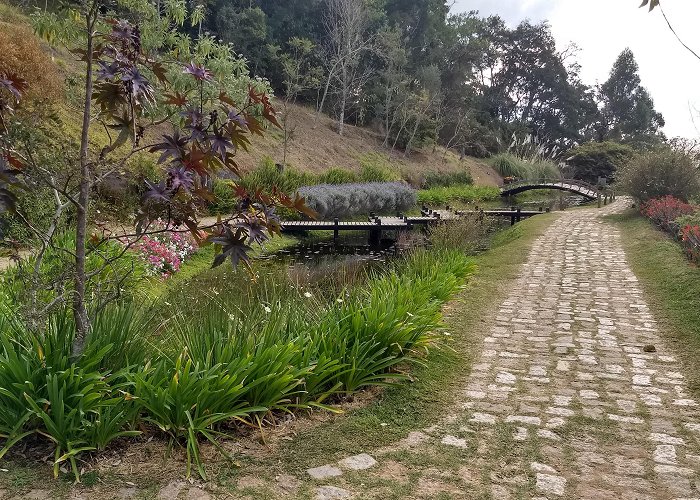 Campos do Jordão Convention Center Amantikir Park Tours - Book Now | Expedia photo