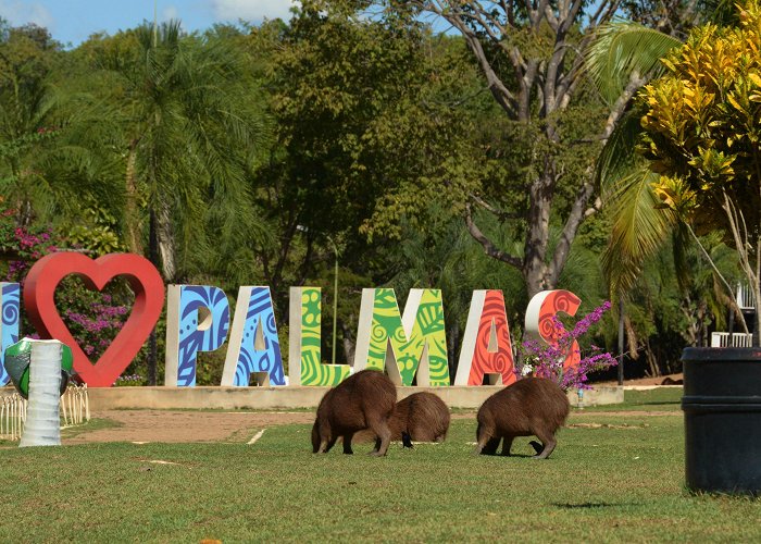 Cesamar Park Parque Cesamar será fechado para serviço de desinfecção ... photo