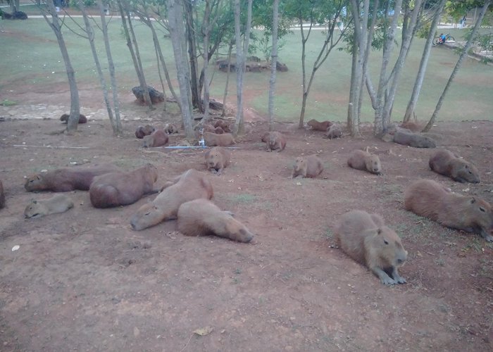 Cesamar Park I live in Palmas, Tocantins, Brazil. This is the Cesamar Park ... photo