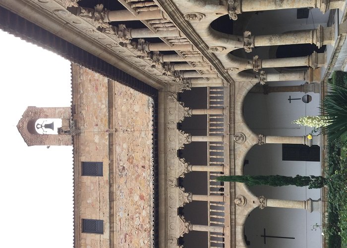 Convent of Las Duenas The Flowers and Faces of Convento de las Dueñas - Salamanca 2015 ... photo