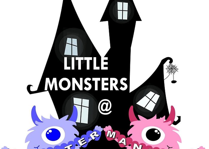 Monsters Mansion Little Monsters at Monster Mansion | Adventure Play Centre in Tiverton photo