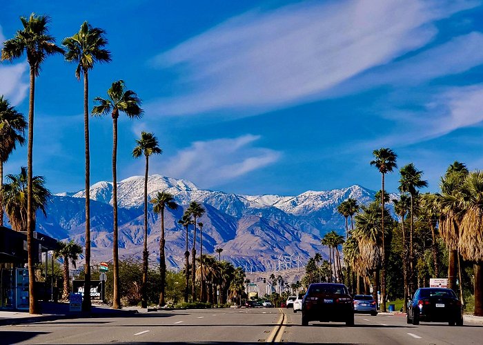 Palm Canyon Palm Canyon Dr., Palm Springs, CA, 2022 : r/pics photo