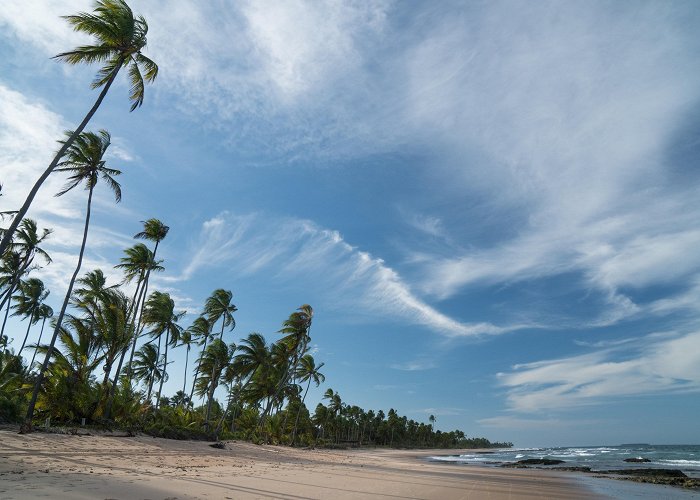 Pedra do Sal Beach Delta do Parnaíba Environmental Protection Area Tours - Book Now ... photo