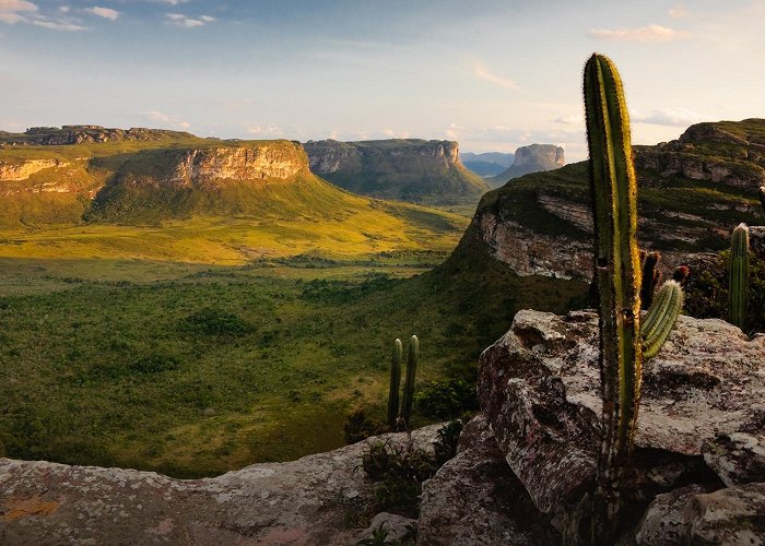 Pai Inacio Mountain View with cactus from top of Pai Inacio hill near Lençóis, Bahia ... photo