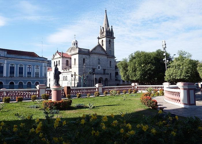 Municipal Theatre Church of Sao Sebastiao Tours - Book Now | Expedia photo