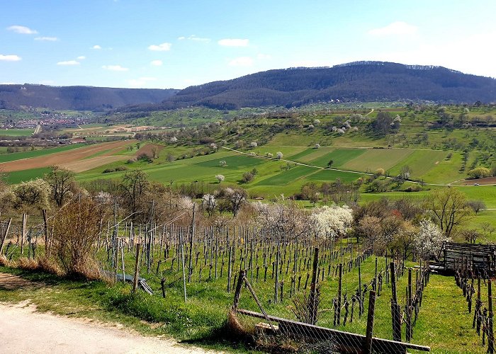 Weilheim an der Teck photo