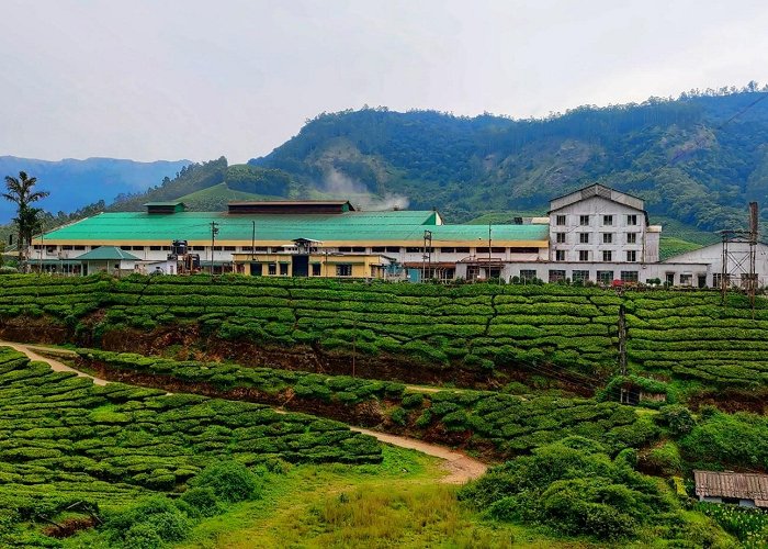 Munnar photo