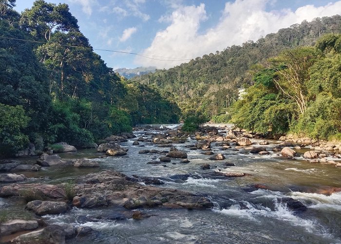 Munnar photo