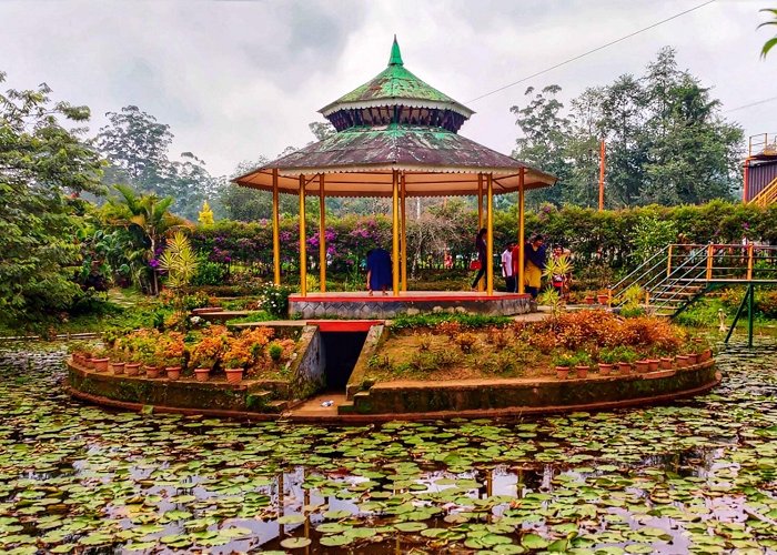 Munnar photo