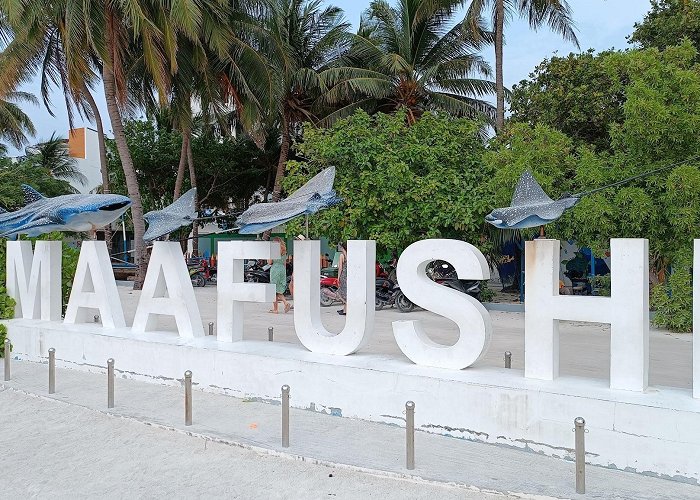 Maafushi photo