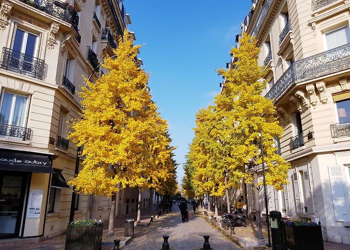 Levallois-Perret photo