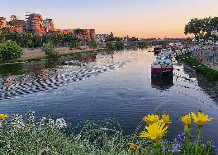 Angers photo
