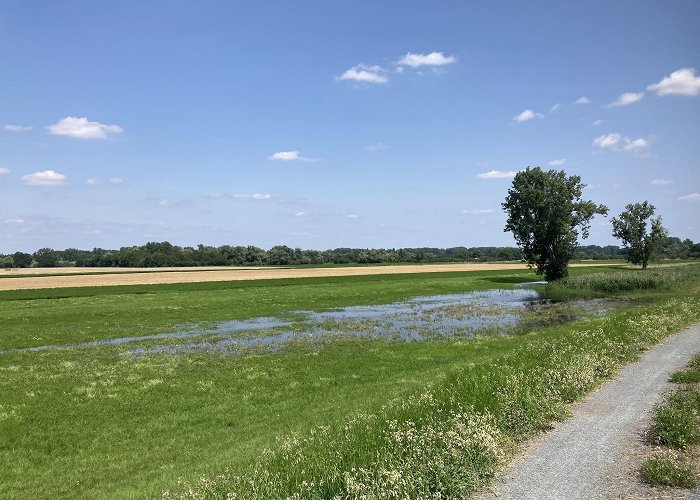 Biebesheim am Rhein photo