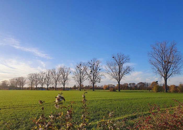 Biebesheim am Rhein photo