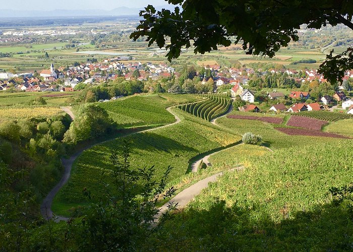 Ortenberg (Baden-Wurttemberg) photo