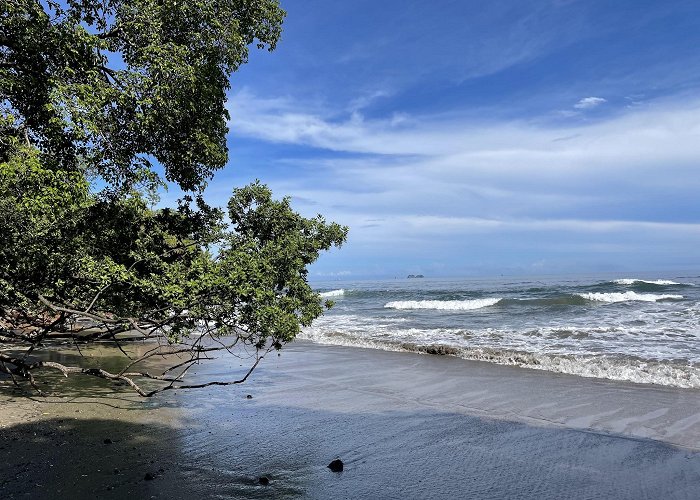 Playa Flamingo photo