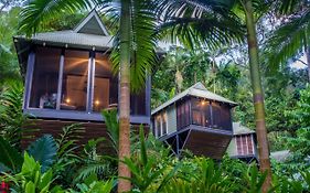 Daintree Ecolodge Exterior photo