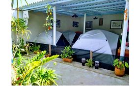Camping Conforto Ypê Branco Araquari Exterior photo