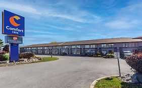 Comfort Inn Airport West Mississauga Exterior photo