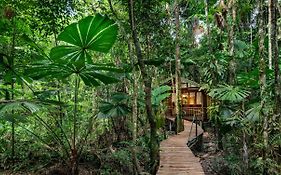 Daintree Wilderness Lodge Exterior photo