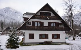 Sobe In Apartmaji Pri Ukcu Bohinj Exterior photo