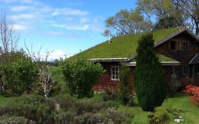 Zapato Amarillo Bed & Breakfast Puerto Octay Exterior photo