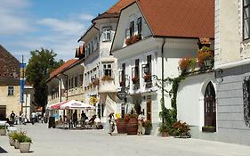 Pension Lectar Radovljica Exterior photo