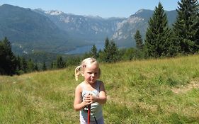 Apartments & Hostel Bohinj Exterior photo