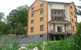 Pension Waldburg Rasnov Exterior photo