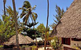 Kipepeo Lodge Zanzibar Jambiani (Zanzibar) Room photo