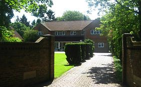 Tanglewood Gatwick Bed & Breakfast Crawley (West Sussex) Exterior photo