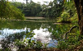 Rainforest Eco Lodge Suva Exterior photo