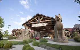 Great Wolf Lodge Mason Exterior photo