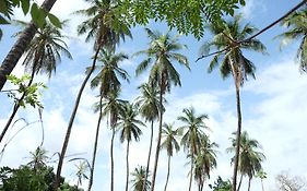 Centre Touristique Et Culturel Casamance Diakene Ouolof Exterior photo