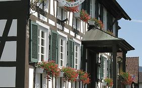 Gasthof Blume Offenburg Exterior photo