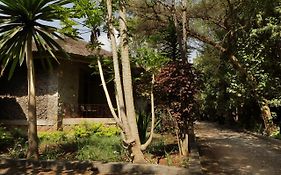 Abay Minch Lodge Bahir Dar Exterior photo