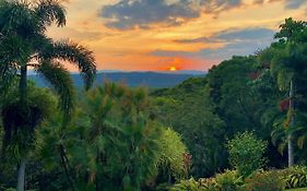 Daintree Manor B&B Exterior photo