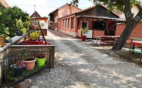 Gites & Camping On The Route Des Vins Bergheim Exterior photo