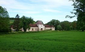 Chateau Des Roises Bucey-en-Othe Exterior photo