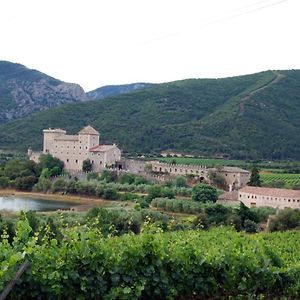 Castell De Riudabella Vimbodi I Poblet Exterior photo