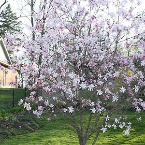 Carrousel Bed & Breakfast Cayuga Exterior photo